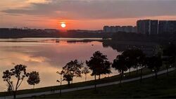 Blk 532 Bedok North Street 3 (Bedok), HDB 3 Rooms #502472591